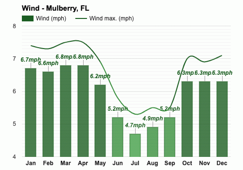 Mulberry florida discount weather