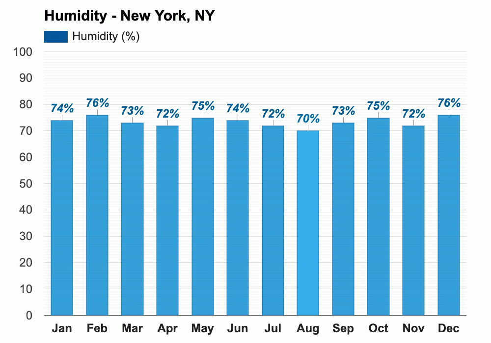 new york weather month of november