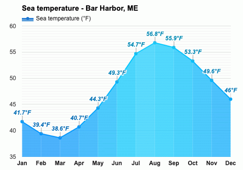 forecast bar harbor